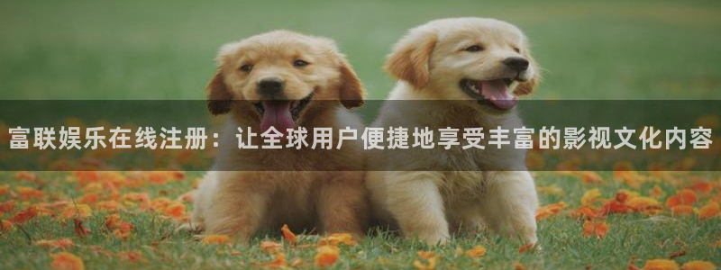 500网官方下载