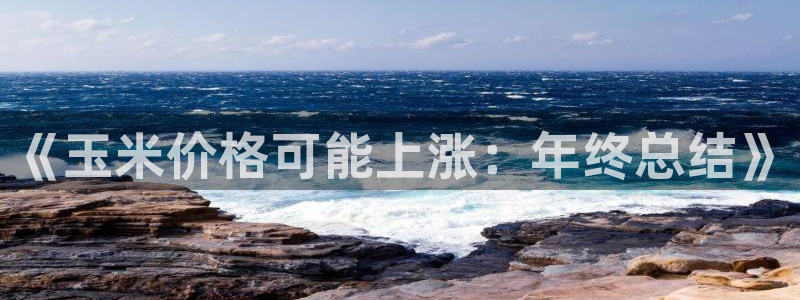 500网app的精选预测汇总