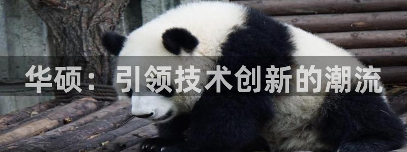 足球比赛直播500网