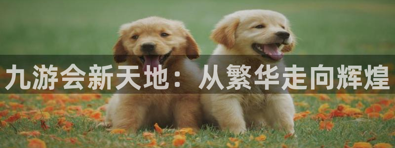 今天足球比赛结果500网