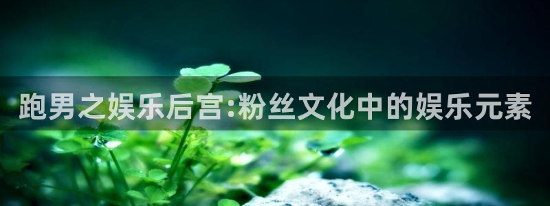 500网