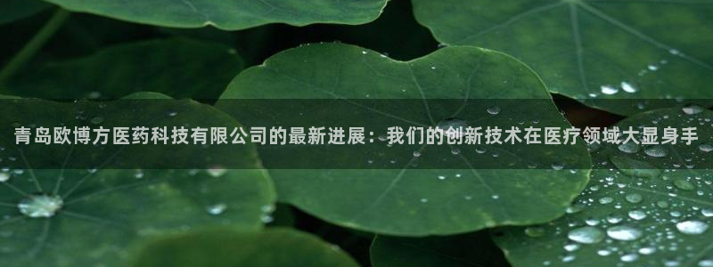 篮球比赛500网