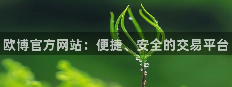 500网足球即时比分