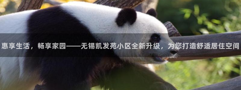 500网足球赛程