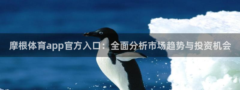 凯利指数欧赔500网