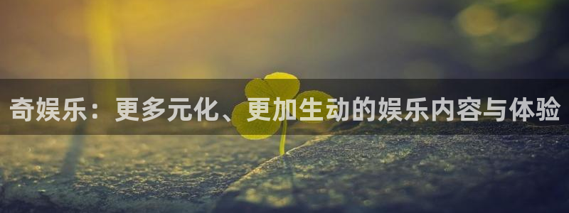 500网app苹果版