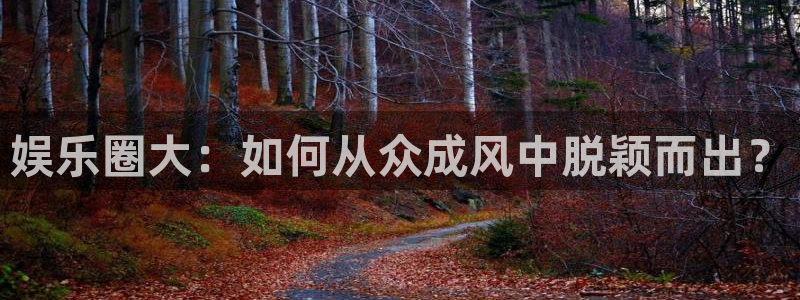 500网比分查询技巧