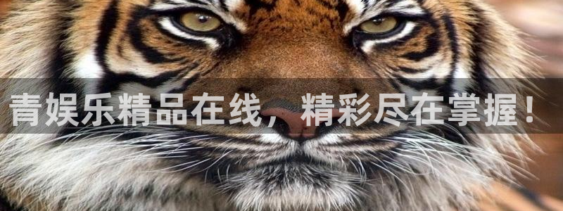 今天是球比赛500网