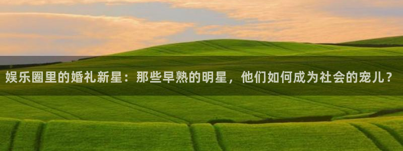500网app