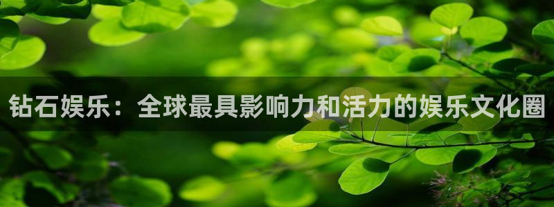 500网足球赛程