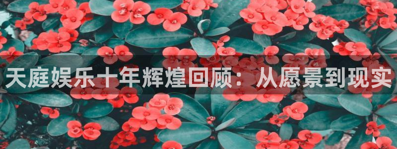 500网足球直播
