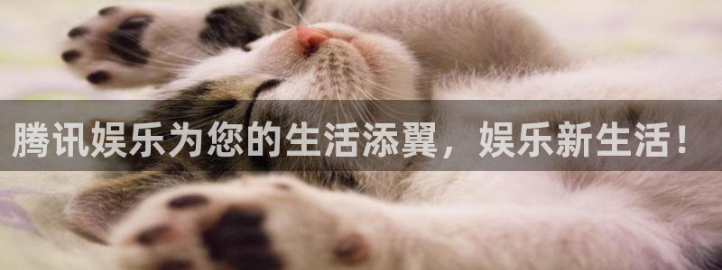 500网三地试机号