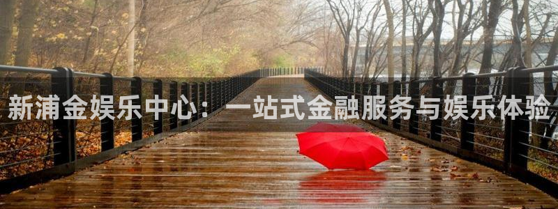 500网足球比分