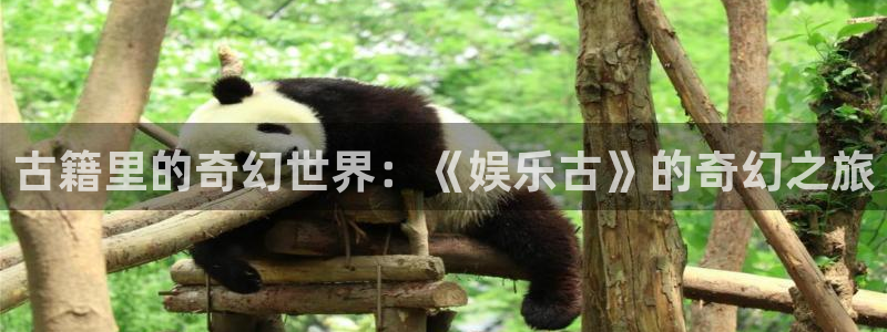 500网凯利指数