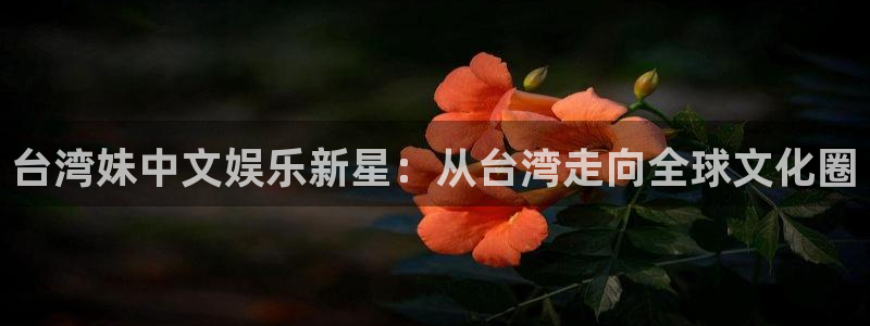 500网凯利值指数：台湾妹中文娱乐新星：从台湾走向全球文化圈