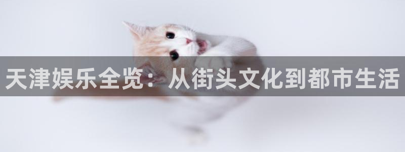 500网app苹果版：天津娱乐全览：从街头文化到都市生活