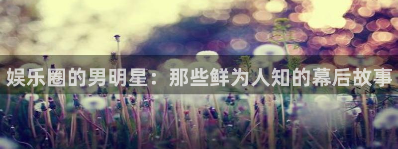凯利指数欧赔500网：娱乐圈的男明星：那些鲜为人知的幕后故事