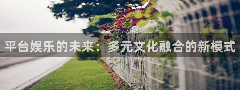 足球比赛结果500网足球：平台娱乐的未来：多元文化融合的新模式