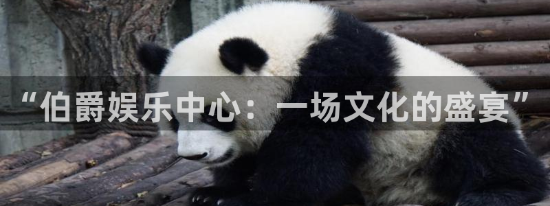 今天足球比赛500网：“伯爵娱乐中心：一场文化的盛宴”