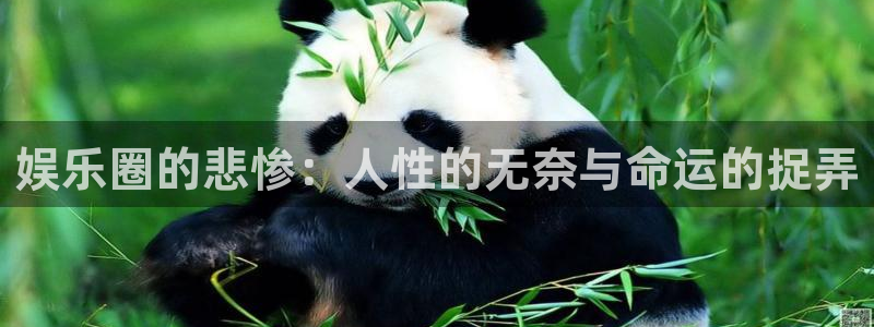 500网官网入口：娱乐圈的悲惨：人性的无奈与命运的捉弄