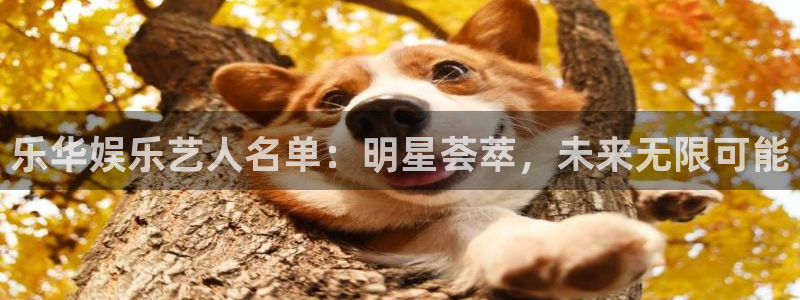 足球比分500网：乐华娱乐艺人名单：明星荟萃，未来无限可能
