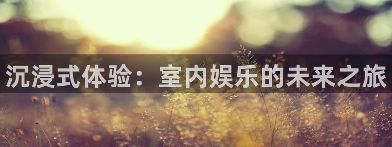 凯利指数欧赔500网：沉浸式体验：室内娱乐的未来之旅