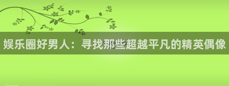 500网么能看出结果：娱乐圈好男人：寻找那些超越平凡的精英偶像