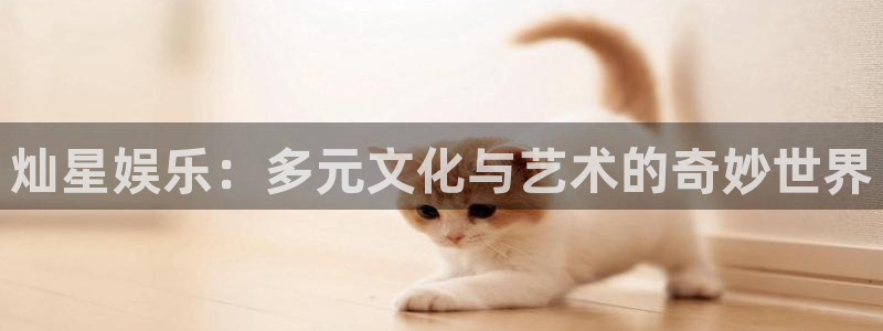 足球比赛开奖结果500网：灿星娱乐：多元文化与艺术的奇妙世界