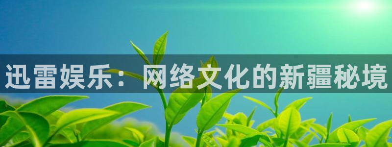 500网仅提供数据和内容：迅雷娱乐：网络文化的新疆秘境