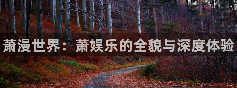 500网官网入口：萧漫世界：萧娱乐的全貌与深度体验
