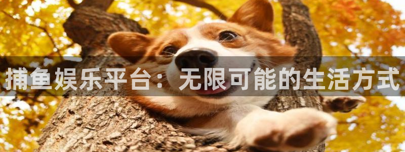 500网官网入口：捕鱼娱乐平台：无限可能的生活方式