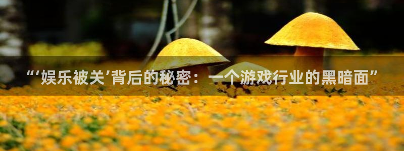 500网混合过关：“‘娱乐被关’背后的秘密：一个游戏行业的黑暗面”