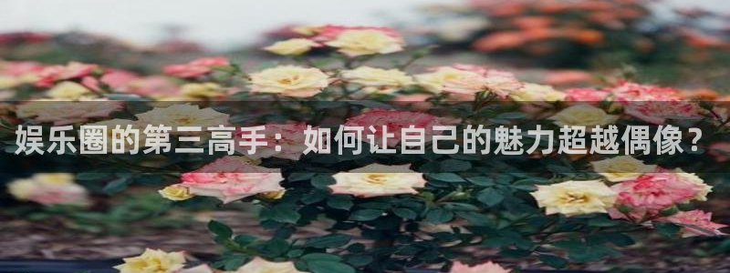 足球昨天比赛结果查询500网：娱乐圈的第三高手：如何让自己的魅力超越偶像？