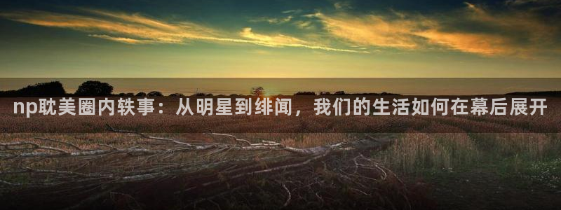 足球比赛结果500网足球：np耽美圈内轶事：从明星到绯闻，我们的生活如何在幕后展开