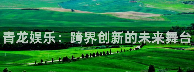 500网竞彩比分：青龙娱乐：跨界创新的未来舞台