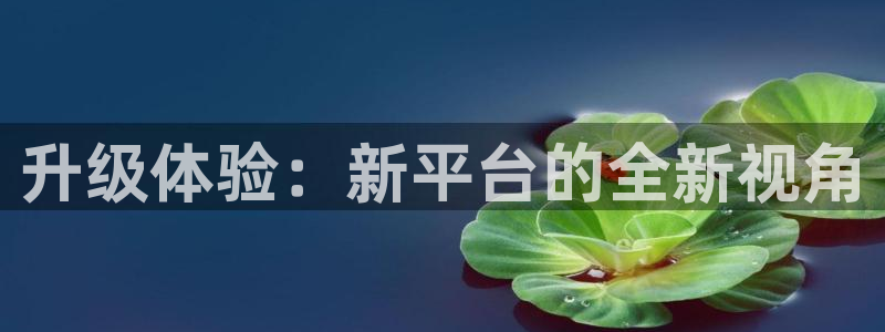 500网会员：升级体验：新平台的全新视角