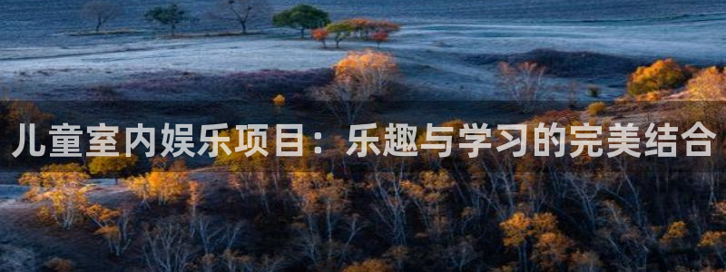 500网官网入口：儿童室内娱乐项目：乐趣与学习的完美结合