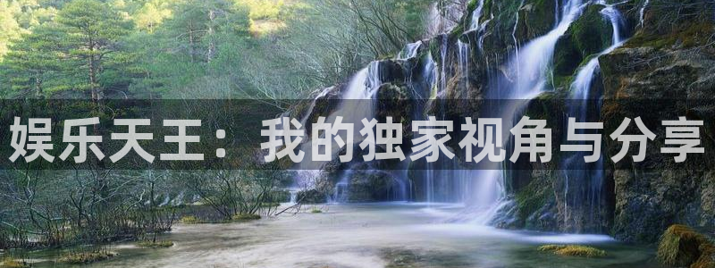 500网：娱乐天王：我的独家视角与分享