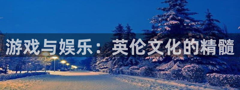 500网比分查询技巧：游戏与娱乐：英伦文化的精髓