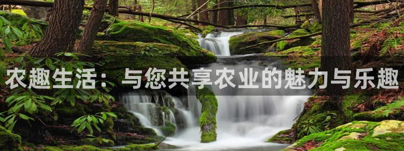 500网足球比分直播：农趣生活：与您共享农业的魅力与乐趣