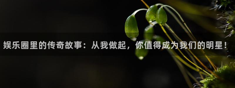 足球比赛结果查询500网：娱乐圈里的传奇故事：从我做起，你值得成为我们的明星！