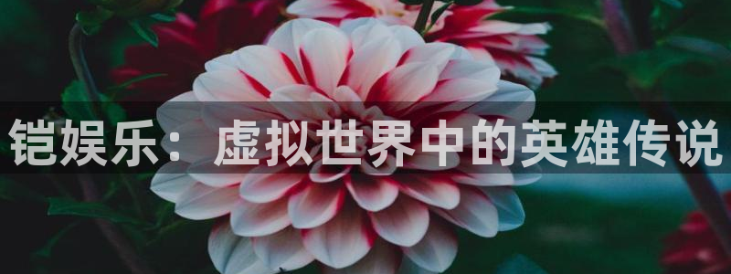 500网足球比赛直播：铠娱乐：虚拟世界中的英雄传说