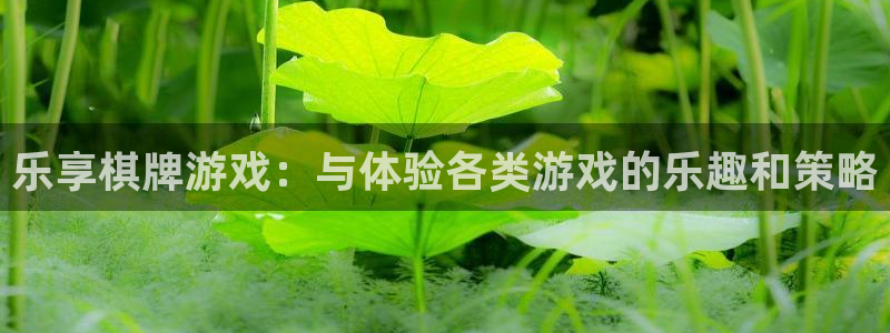 比分500网：乐享棋牌游戏：与体验各类游戏的乐趣和策略