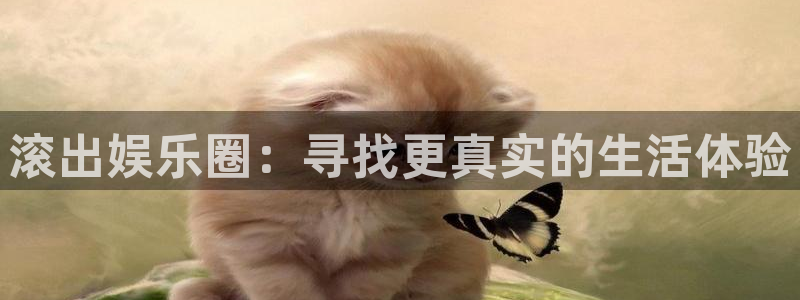 500网竞彩比分：滚出娱乐圈：寻找更真实的生活体验