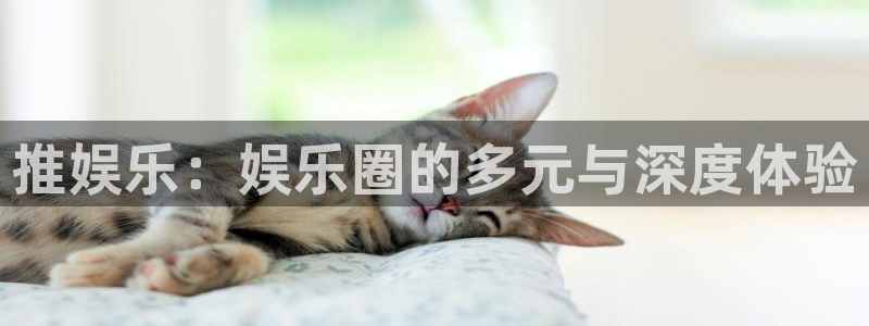 500网足球即时比分：推娱乐：娱乐圈的多元与深度体验